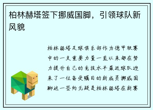 柏林赫塔签下挪威国脚，引领球队新风貌